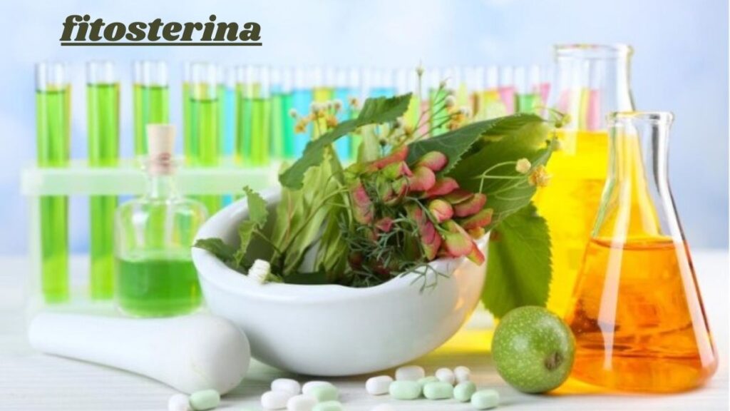 Fitosterina: Unlocking the Health Benefits